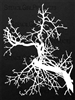 Forked Bare Branch Background Stencil by Trish McKinney