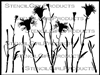Thistle