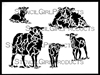 Lambs and Ewes