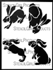 Four Bunnies in Motion