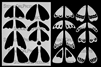 Moth Parts