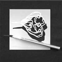 Wise Bud Stencil by Rae Missigman