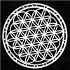 Flower of Life Stencil by Mary Beth Shaw