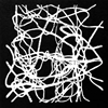 Intricate Bare Wisteria Vine