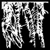 Rooted in Nature Palm