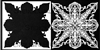 Kaleidoscope 1 Enchanted Protea Stencil with Mask