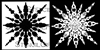 Kaleidoscope 8 Shifting Bromeliad Stencil with Mask