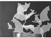 Cats and Rabbits StencilGuts Shapes